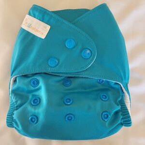 Ocean Blue Cloth Diaper